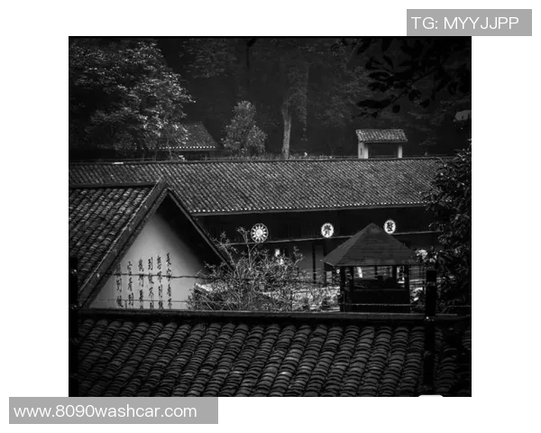 滑板装备选购指南中的攀岩绳推荐与使用技巧分享