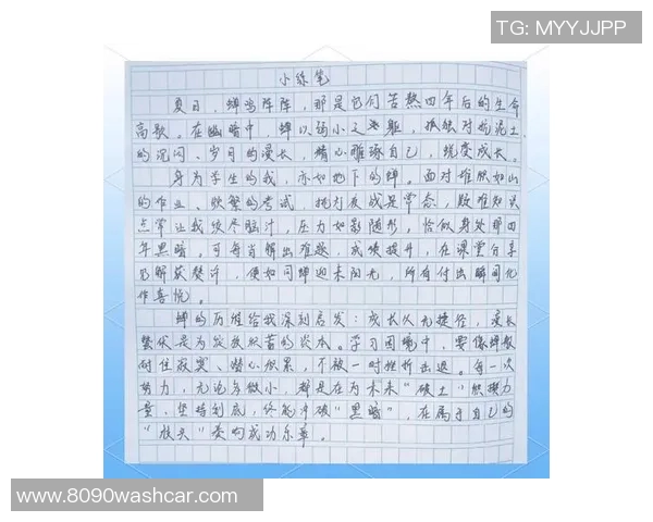 上海羽毛球队反击之路：胜利与失利的深刻反思与启示