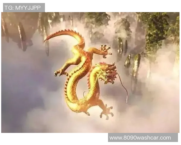 谢什科的传奇人生与不屈精神探秘之旅