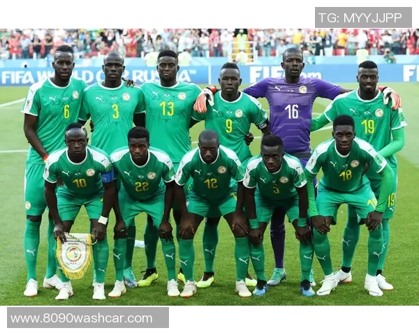 波兰与塞内加尔激战正酣精彩球赛回顾与精彩瞬间分析